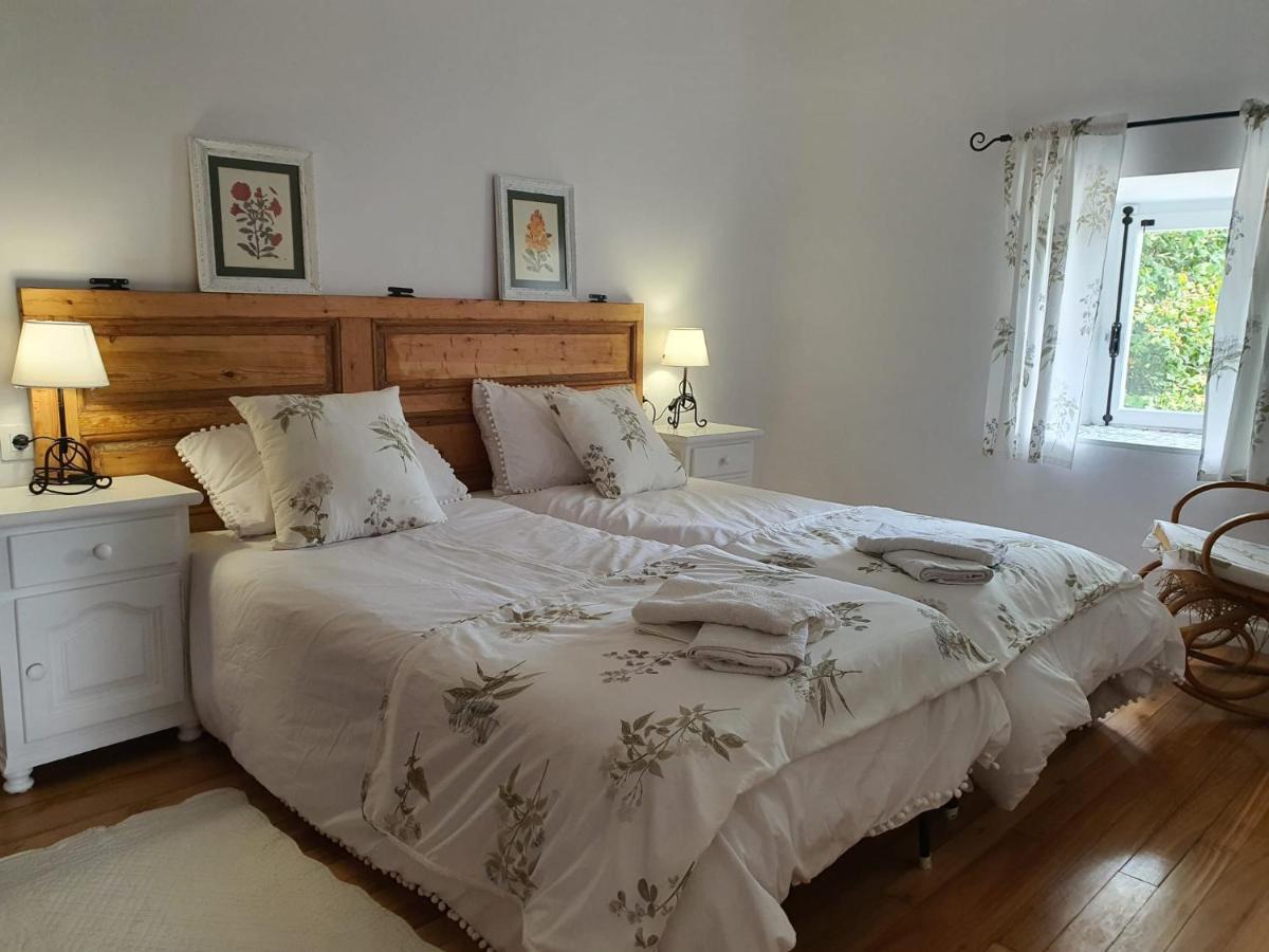 Vicario Etxea Villa Concha  Ngoại thất bức ảnh
